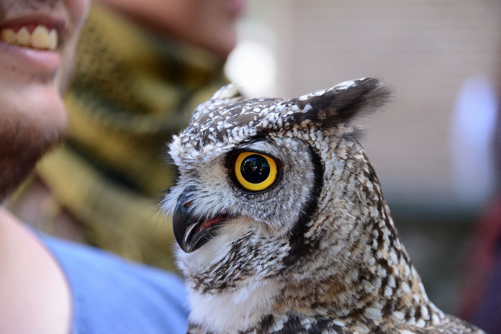 ../Images/Castlefest 2016 Zaterdag 217.jpg